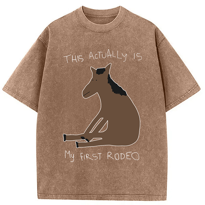 Modecanvas This Actually is My First Rodeo Washed T-Shirt