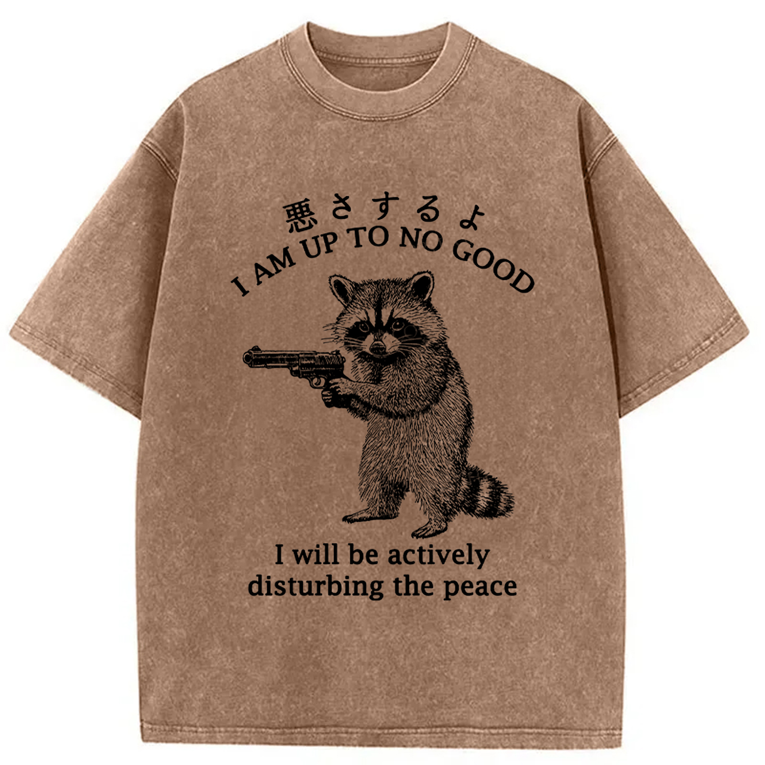 Modecanvas Raccoon Disturbing The Peace Washed T-Shirt