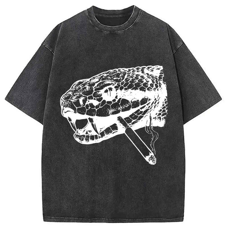 Modecanvas Snake Smoke Vintage DTG Printing Washed T-Shirt