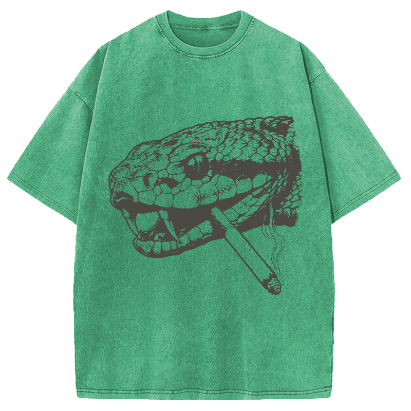 Modecanvas Snake Smoke Vintage DTG Printing Washed T-Shirt