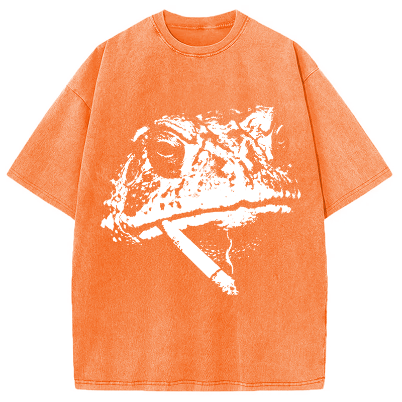 Modecanvas Frog Smoke Vintage DTG Printing Washed T-Shirt