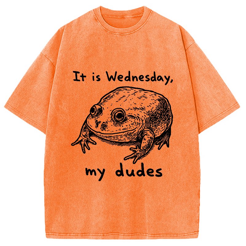Modecanvas Wednesday Frog Vintage Washed T-Shirt-modecanvas