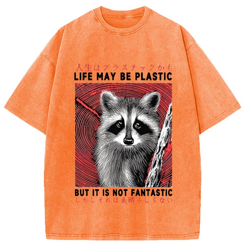 Modecanvas Raccoon Vintage Japanese Washed T-Shirt