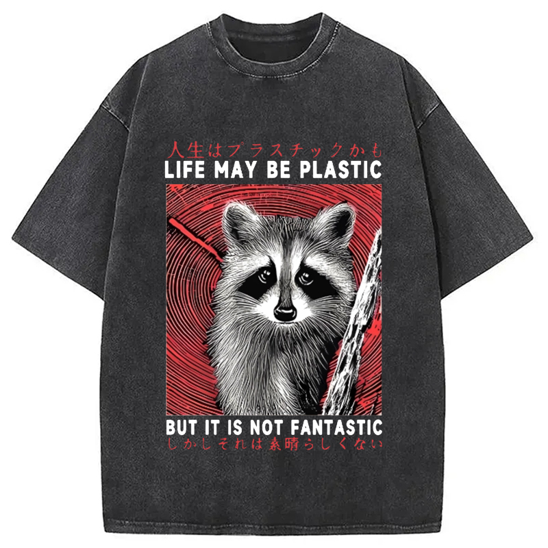 Modecanvas Raccoon Vintage Japanese Washed T-Shirt