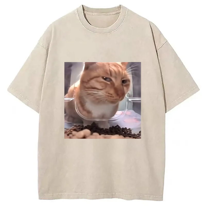 Modecanvas Funny Cat Meme Washed T-Shirt