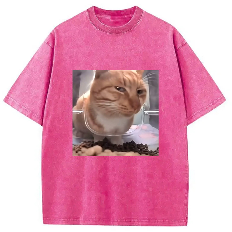 Modecanvas Funny Cat Meme Washed T-Shirt