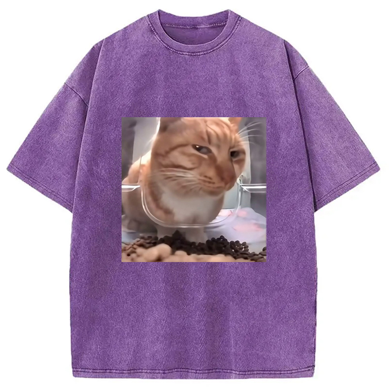 Modecanvas Funny Cat Meme Washed T-Shirt