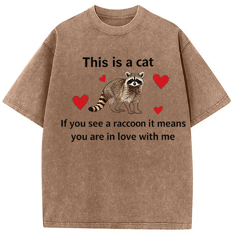 Modecanvas If You See A Raccoon DTG Printing Washed T-Shirt