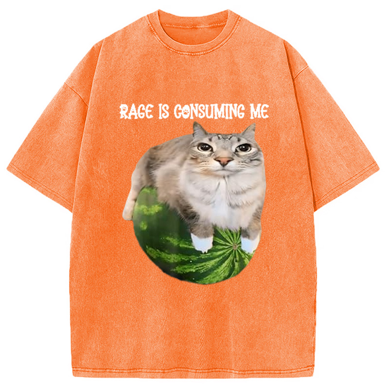 Modecanvas Rage Is Consuming Me Cat Meme Washed T-Shirt-modecanvas