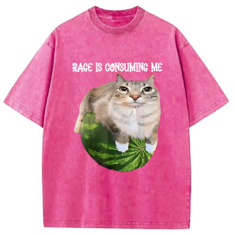 Modecanvas Rage Is Consuming Me Cat Meme Washed T-Shirt-modecanvas