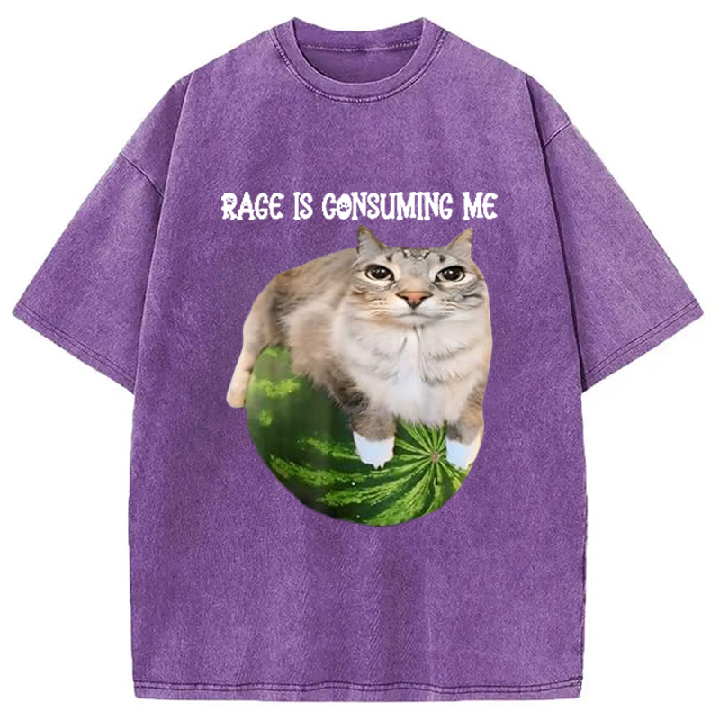 Modecanvas Rage Is Consuming Me Cat Meme Washed T-Shirt-modecanvas