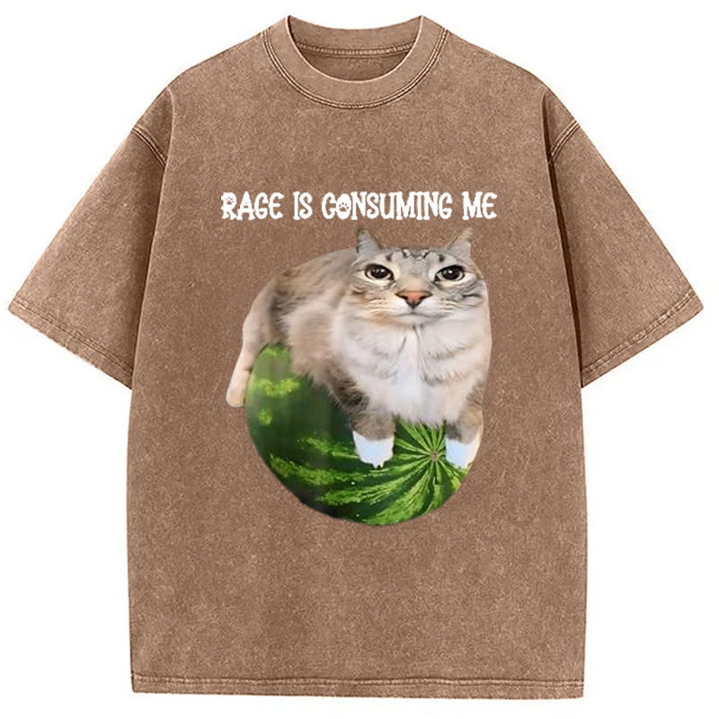 Modecanvas Rage Is Consuming Me Cat Meme Washed T-Shirt-modecanvas