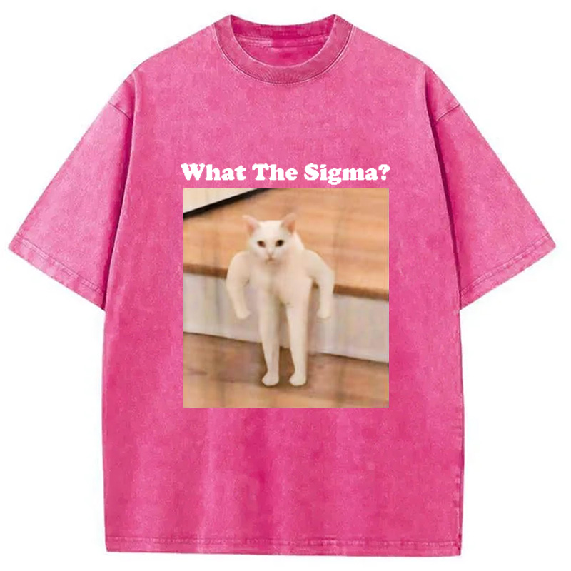 Modecanvas What Sigma Cat Meme Washed T-Shirt