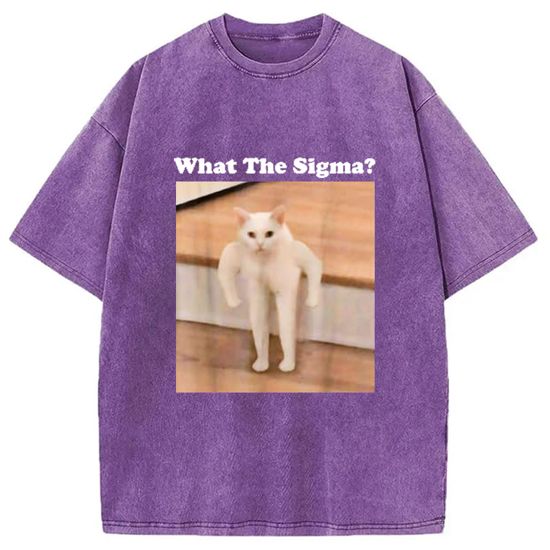 Modecanvas What Sigma Cat Meme Washed T-Shirt