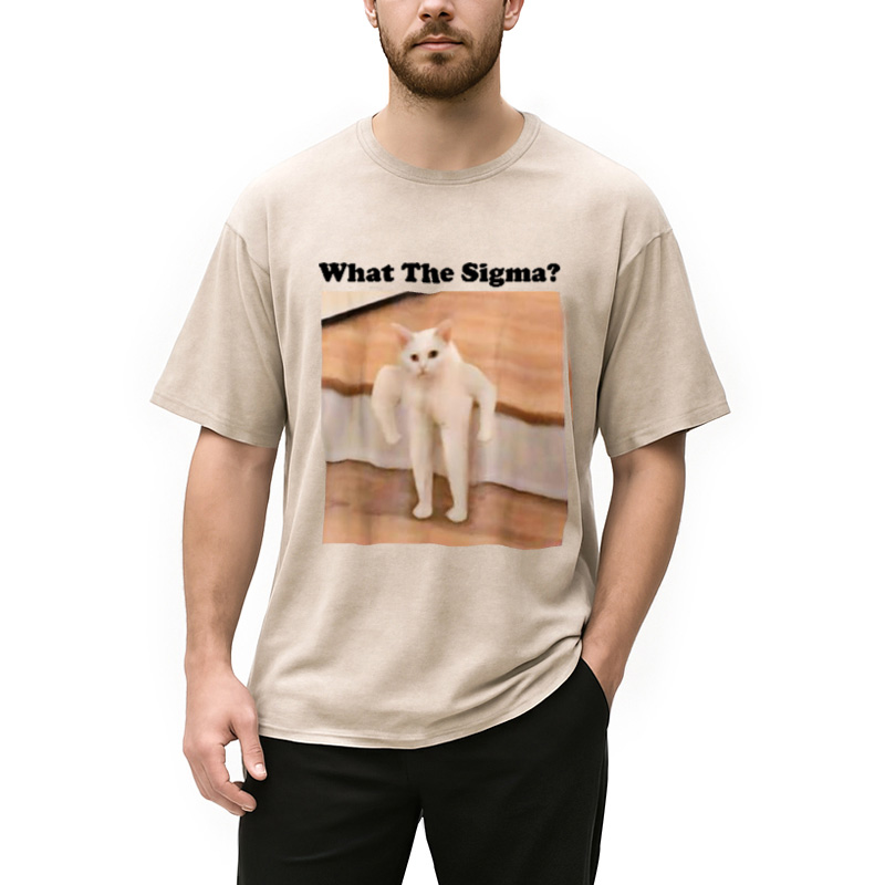 Modecanvas What Sigma Cat Meme Washed T-Shirt