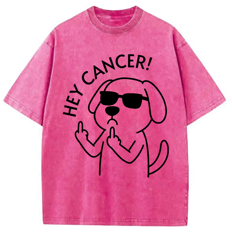 Modecanvas Hey Dog Cancer DTG Printing Washed T-Shirt