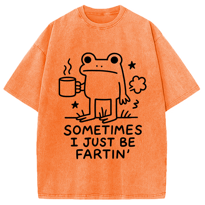 Modecanvas Sometimes A Frog Just Needs To Fart DTG Printing Washed T-Shirt