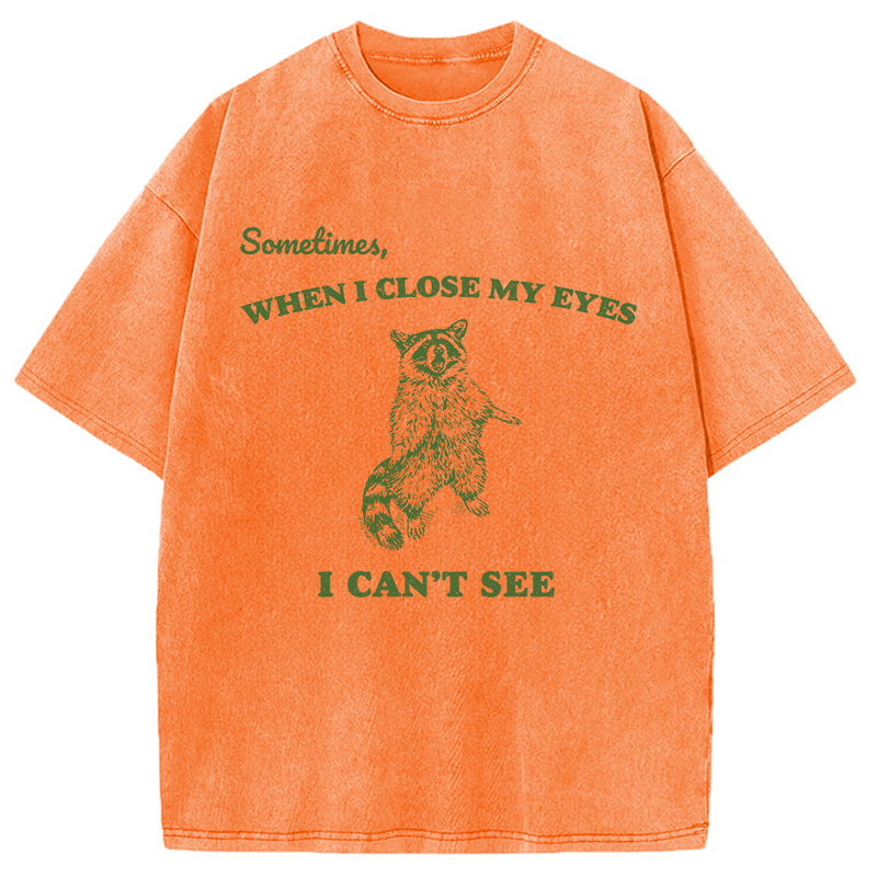 Modecanvas Sometimes When I Close My Eyes I Can't See Funny Raccoon DTG Printing Washed T-Shirt