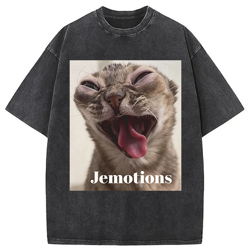 Modecanvas Jemotions Cat Meme DTG Printing Washed T-Shirt
