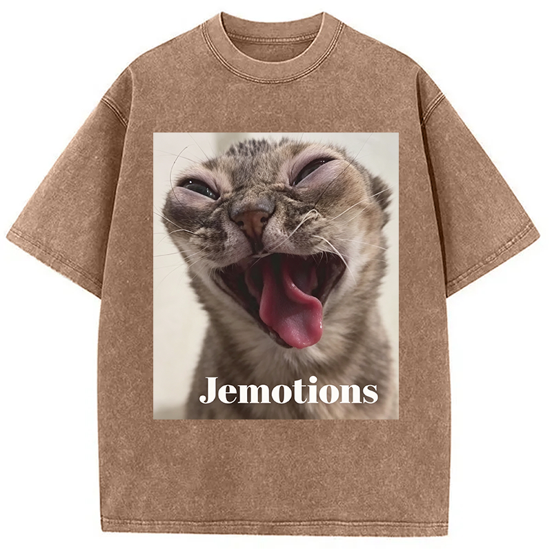 Modecanvas Jemotions Cat Meme DTG Printing Washed T-Shirt