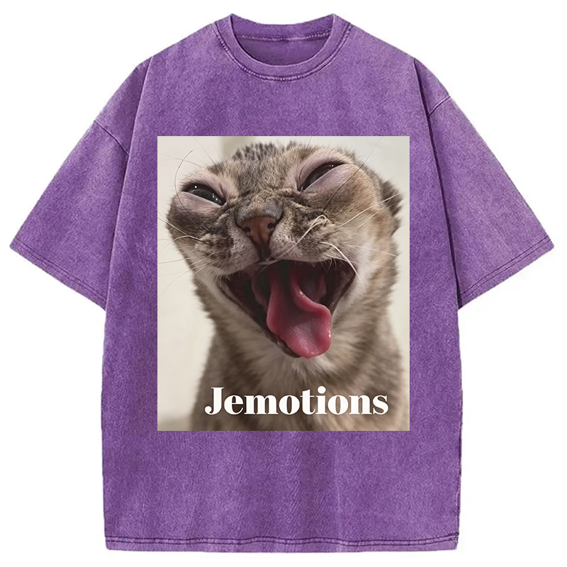 Modecanvas Jemotions Cat Meme DTG Printing Washed T-Shirt