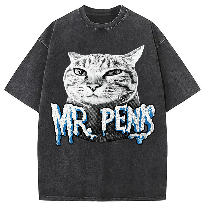 Modecanvas Mr Pen is Cat DTG Printing Washed T-Shirt