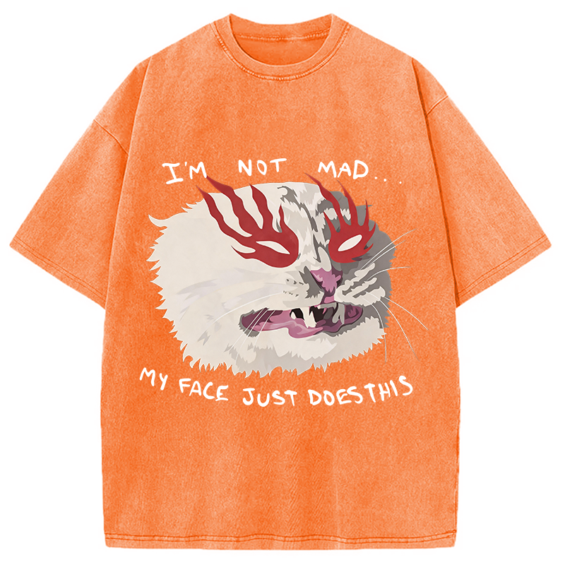 Modecanvas I'm Not Mad DTG Printing Washed T-Shirt