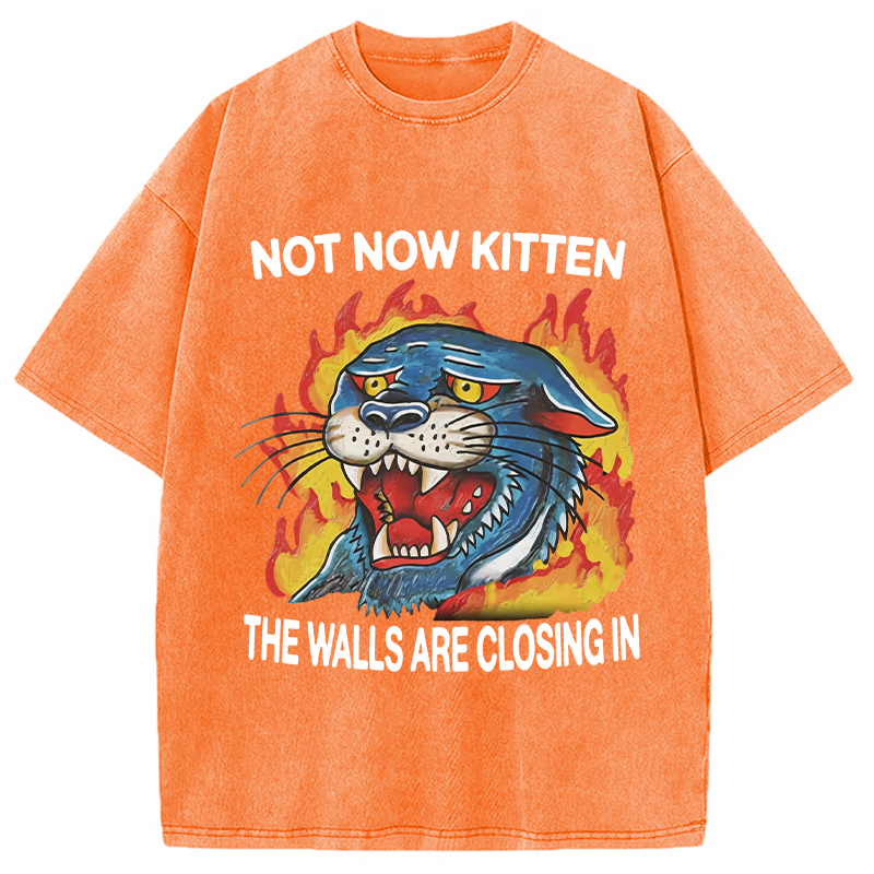 Modecanvas Not Now Kitten DTG Printing Washed T-Shirt