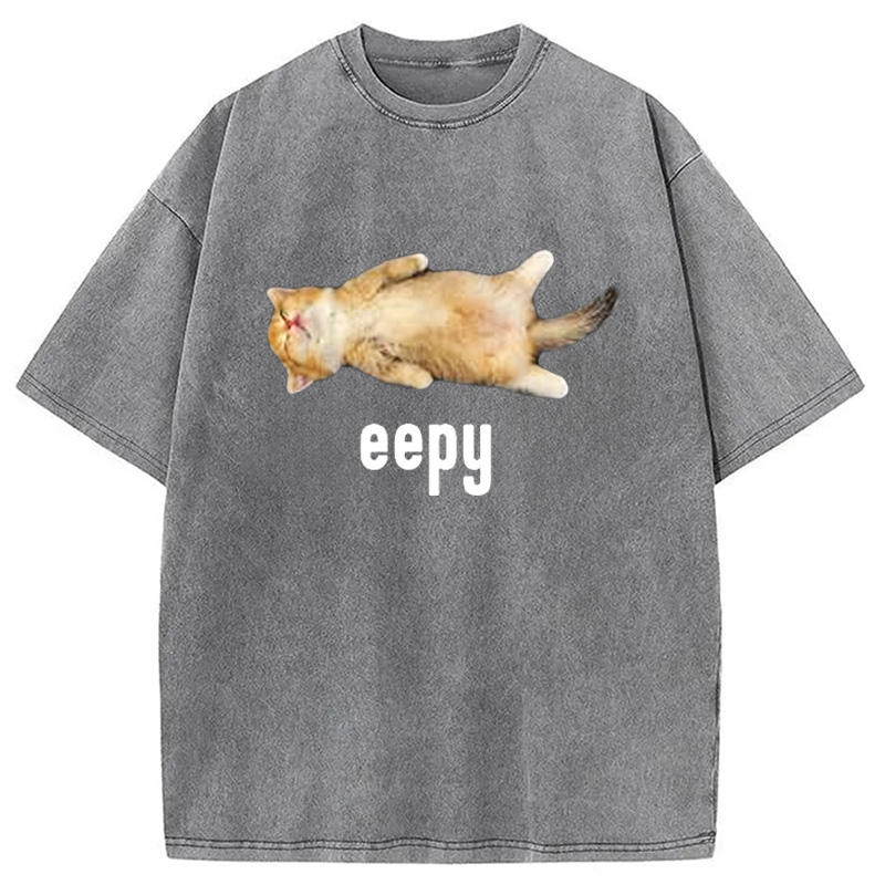 Modecanvas Silly Sleepy Cat Meme Washed T-Shirt-modecanvas