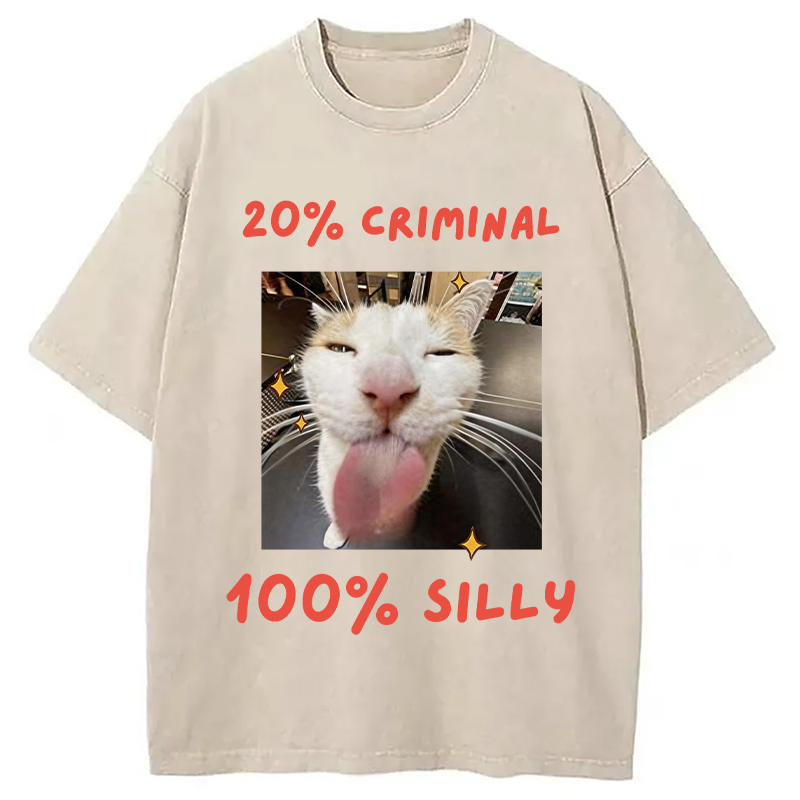 Modecanvas That Silly Cat Meme DTG Printing Washed T-Shirt