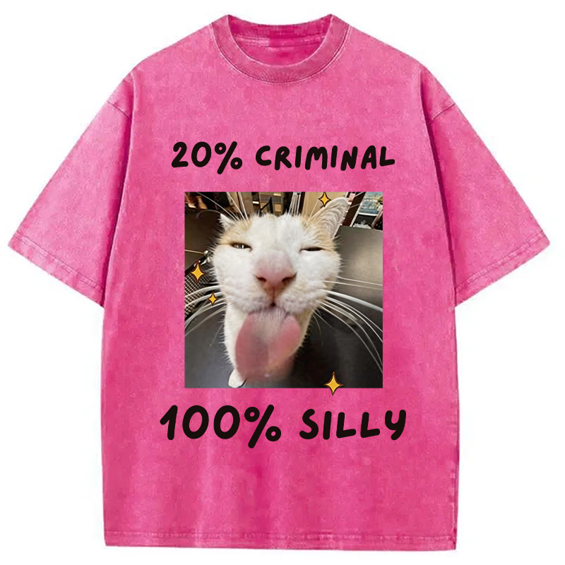 Modecanvas That Silly Cat Meme DTG Printing Washed T-Shirt