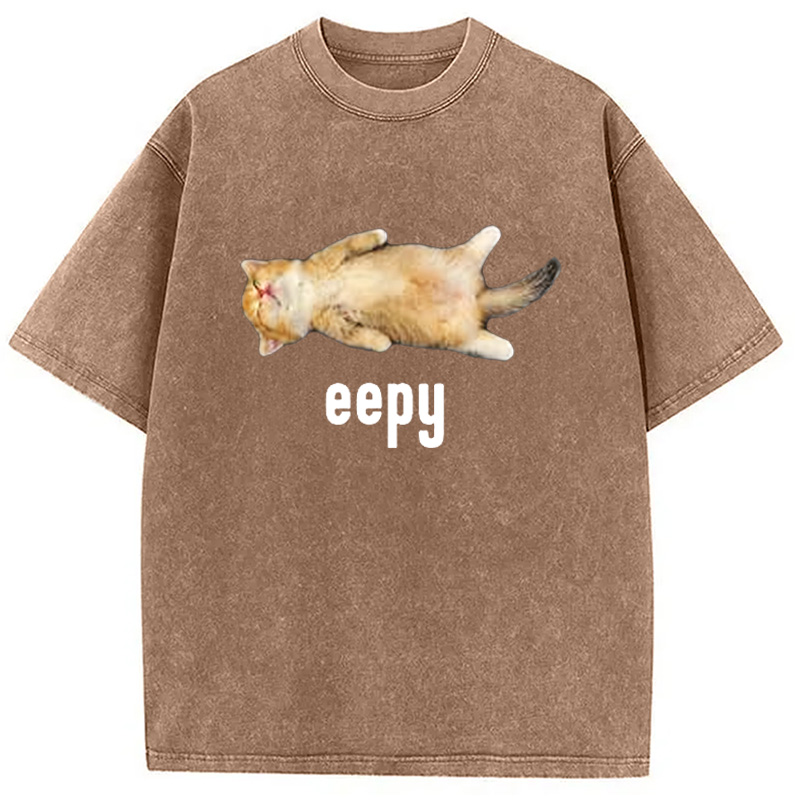 Modecanvas Silly Sleepy Cat Meme Washed T-Shirt-modecanvas