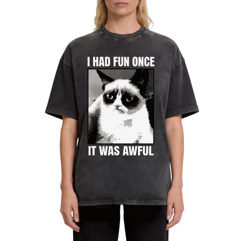 Modecanvas I Had Fun Once It Was Awful Cat Meme DTG Printing Washed T-Shirt