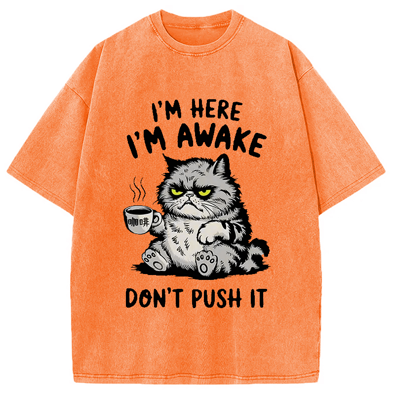 Modecanvas Tired Cat Washed T-Shirt