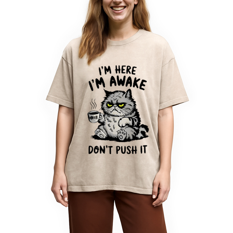 Modecanvas Tired Cat Washed T-Shirt