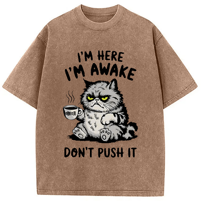 Modecanvas Tired Cat Washed T-Shirt