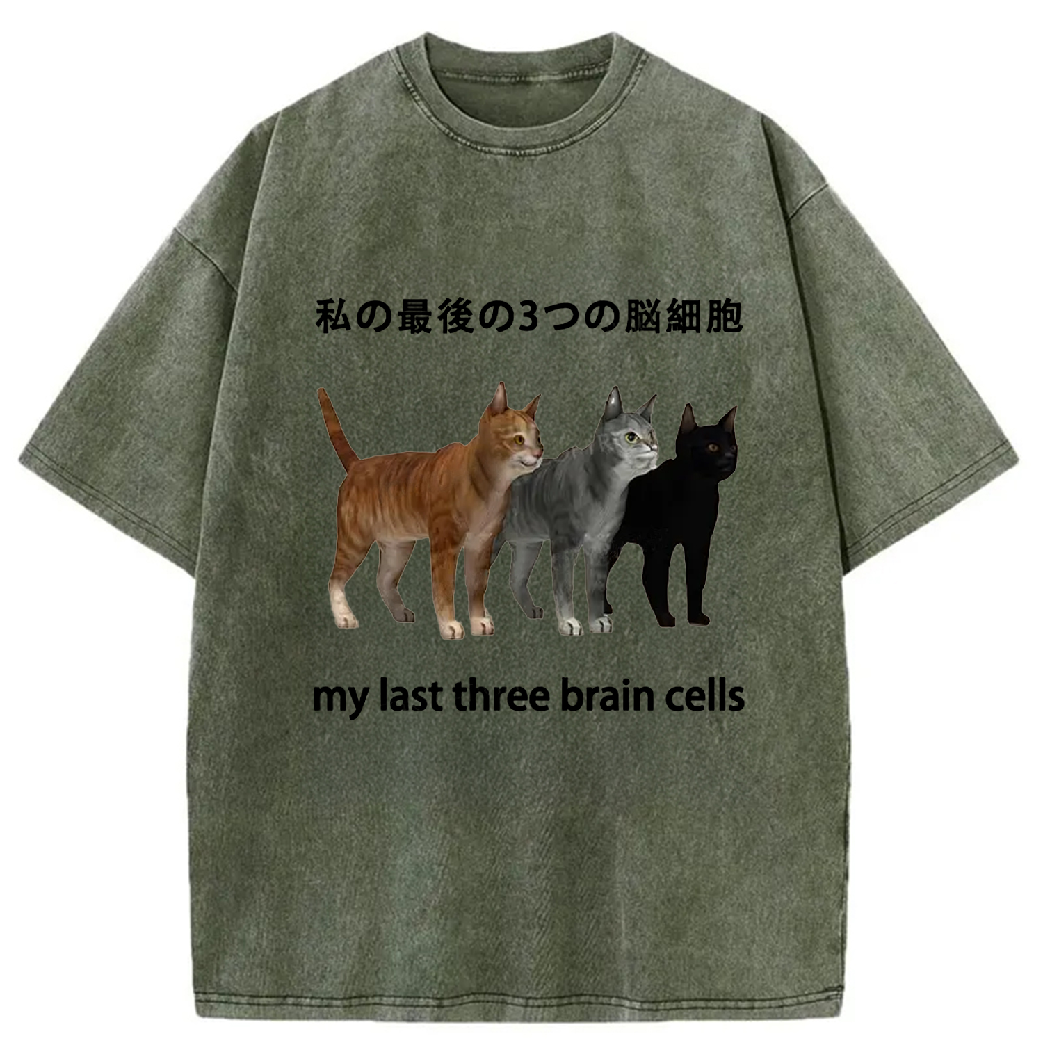 Modecanvas My Last Three Brain Cells Washed T-Shirt