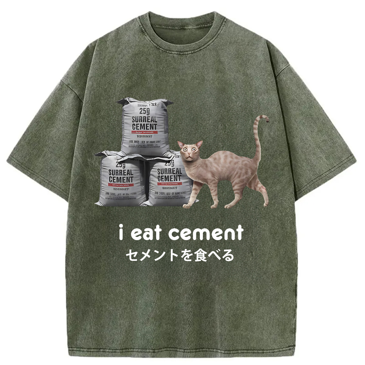 Modecanvas I Eat Cement Cursed Cat Washed T-Shirt