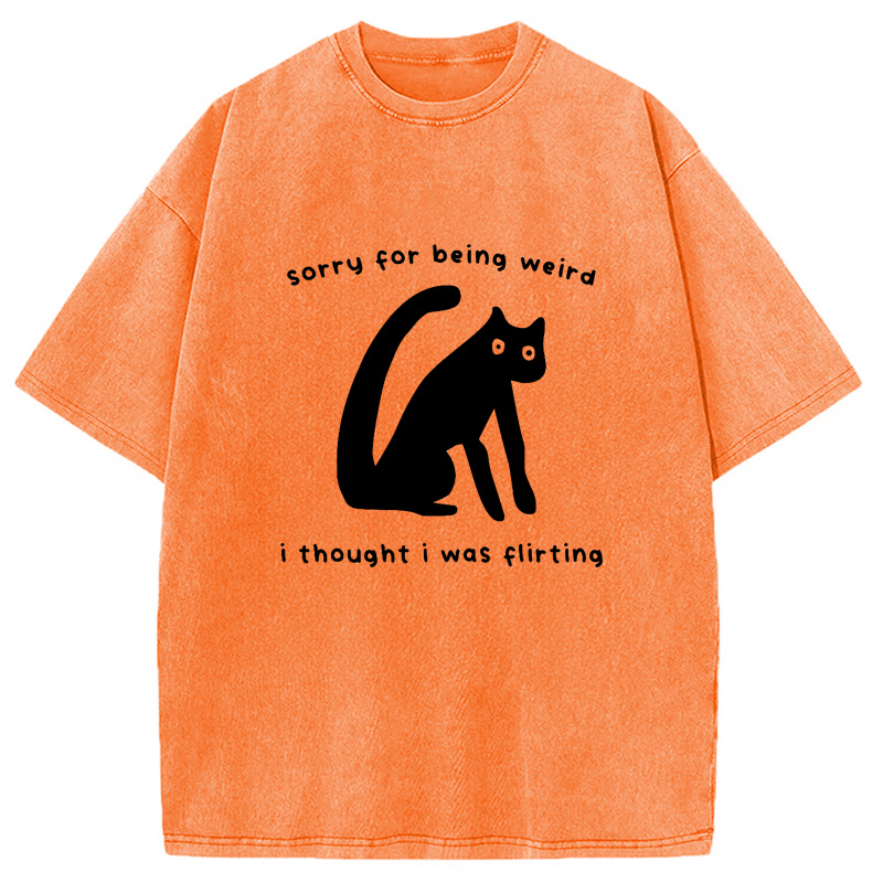 Modecanvas Sorry For Being Weird Washed T-Shirt