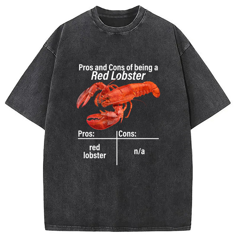 Modecanvas Pros And Cons Washed T-Shirt