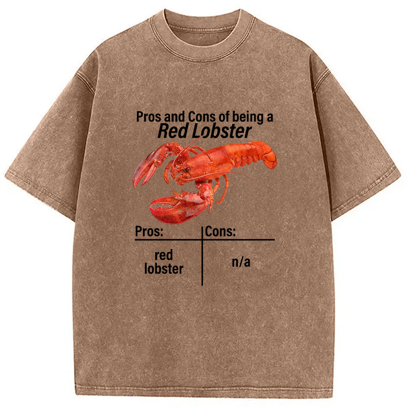Modecanvas Pros And Cons Washed T-Shirt