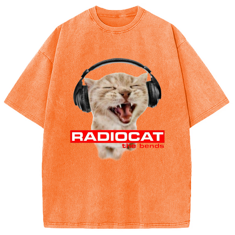 Modecanvas Radiocat The Bends Washed T-Shirt