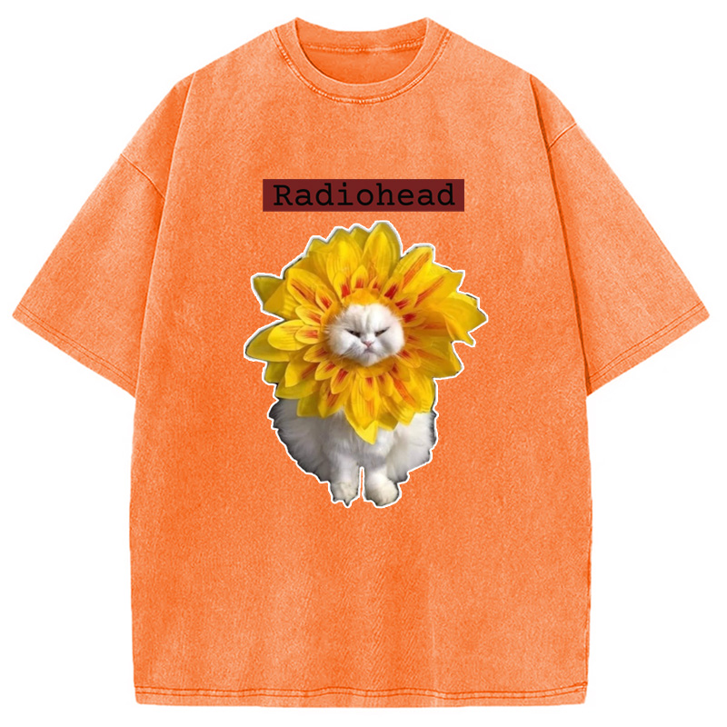 Modecanvas Radiohead Cat Washed T-Shirt