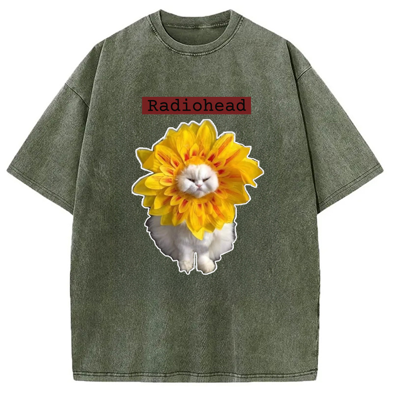 Modecanvas Radiohead Cat Washed T-Shirt