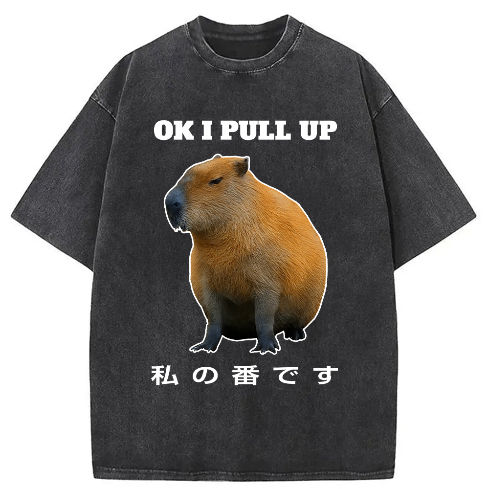 Modecanvas Ok I Pull Up Funny Capybara Washed T-Shirt
