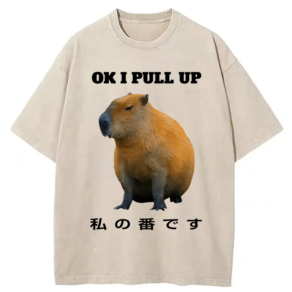 Modecanvas Ok I Pull Up Funny Capybara Washed T-Shirt