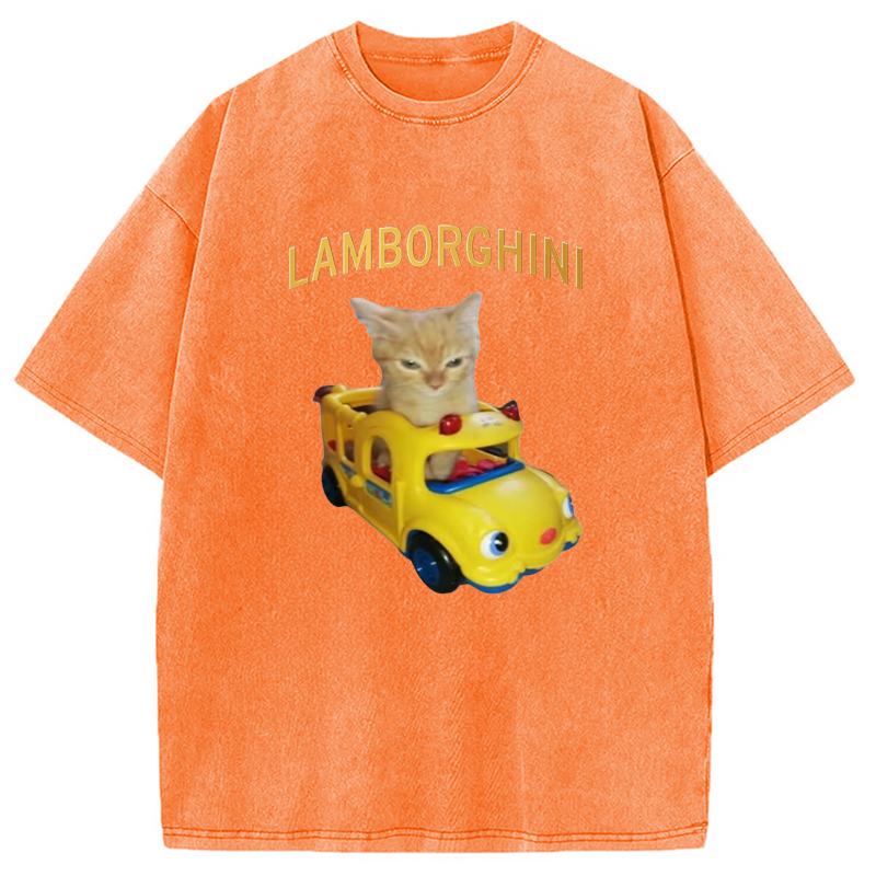 Modecanvas Car Cat Funny Meme Washed T-Shirt