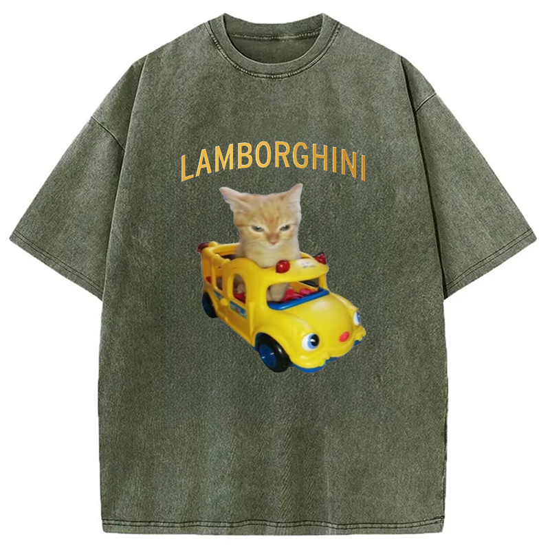 Modecanvas Car Cat Funny Meme Washed T-Shirt