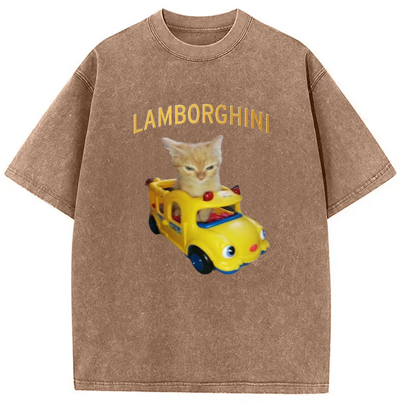 Modecanvas Car Cat Funny Meme Washed T-Shirt