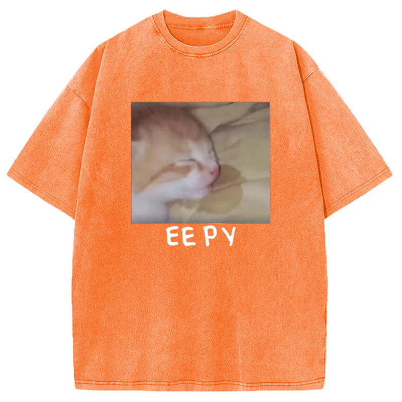 Modecanvas Eepy Kitty Meme Washed T-Shirt
